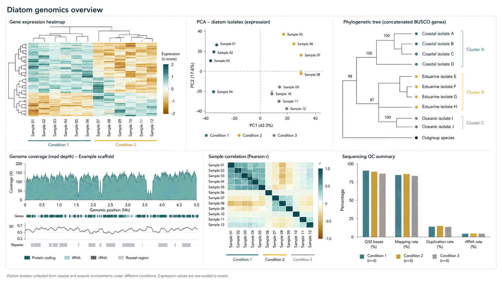 Multi-panel genomic analysis: a gene expression heatmap, a principal component plot, a phylogenetic tree, genome coverage across a scaffold, a sample correlation matrix and sequencing quality summaries.